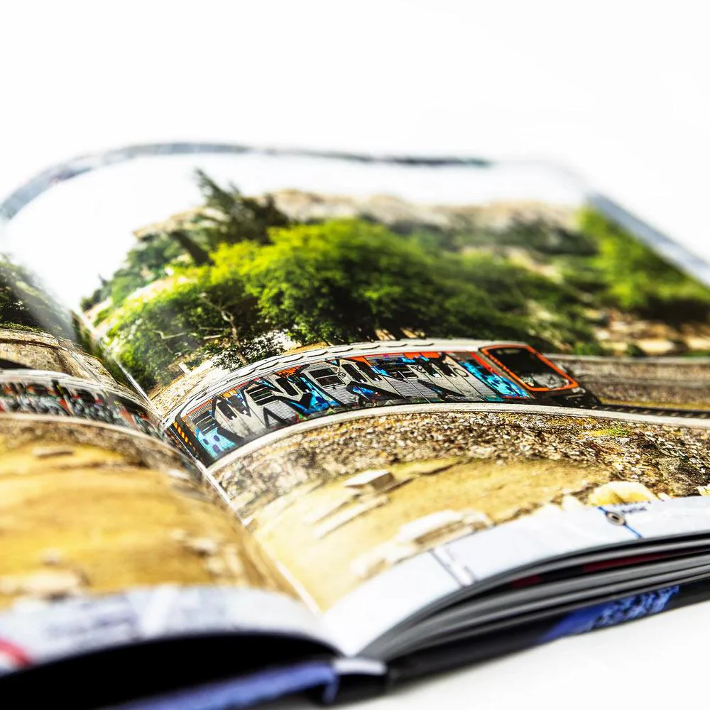 Maintain IV.V - Derailed Book - Image 5