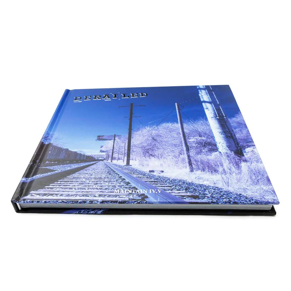 Maintain IV.V - Derailed Book and DVD Combo - Image 2