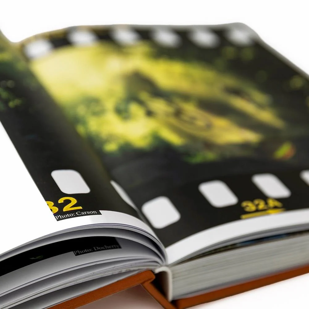Posh Book - Image 7