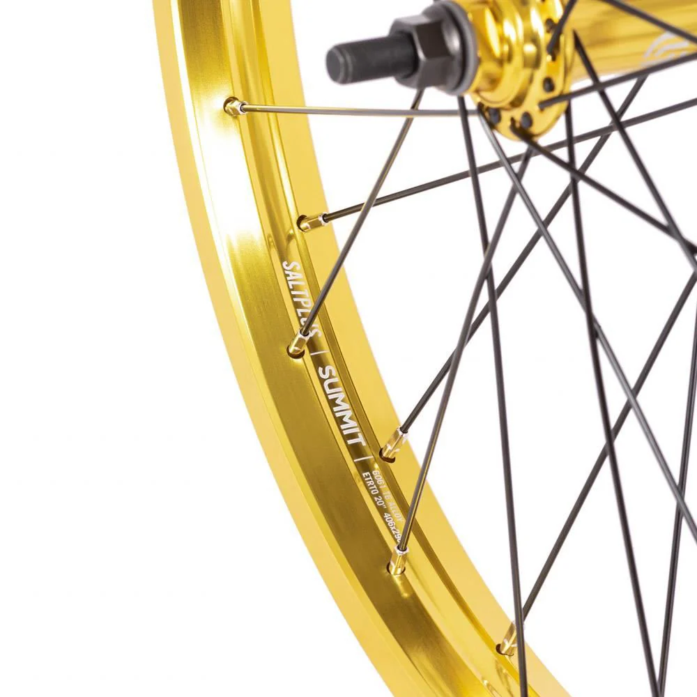 Salt Everest Front Wheel - Image 4