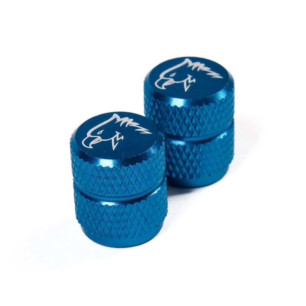 Source Valve Caps - Image 10