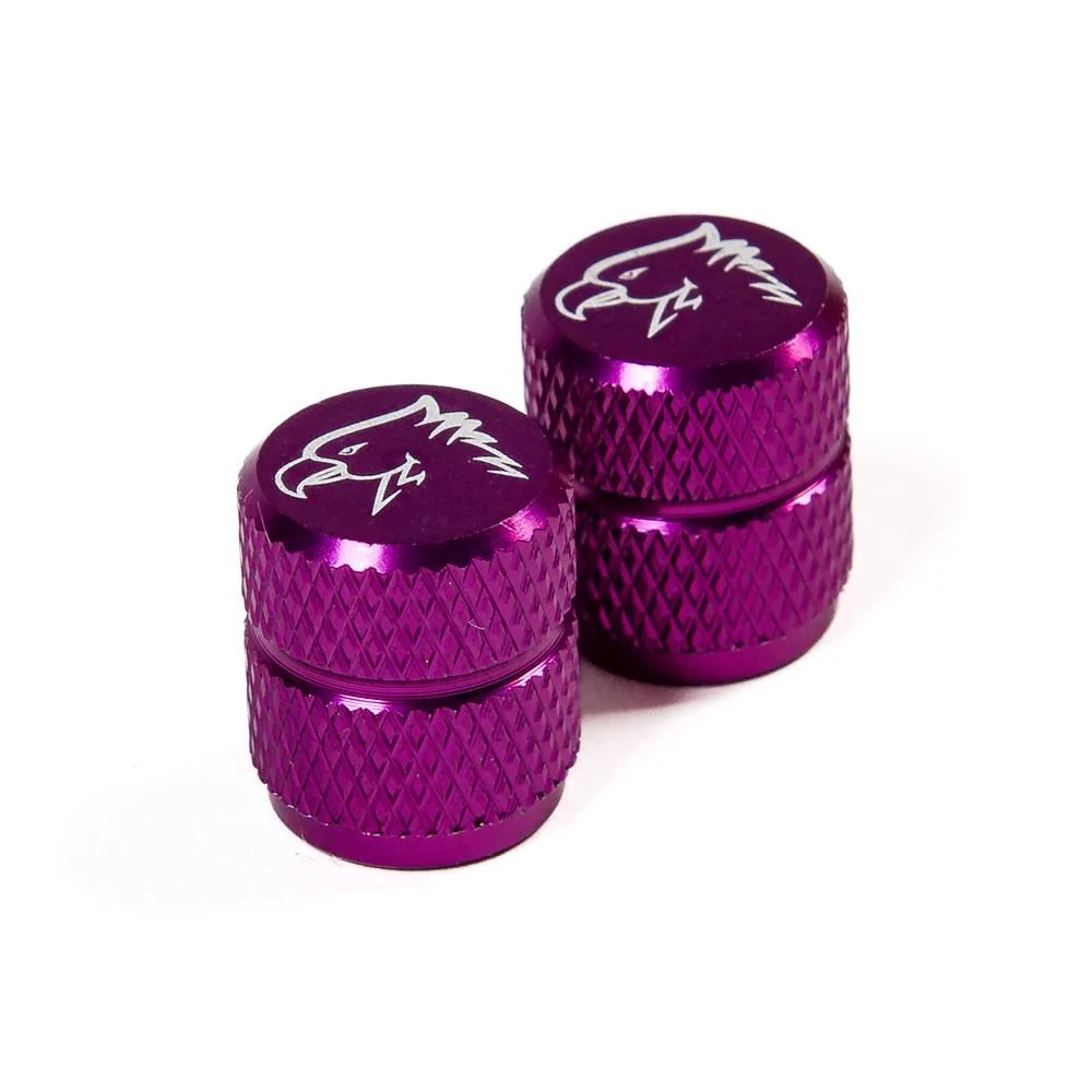 Source Valve Caps - Image 9
