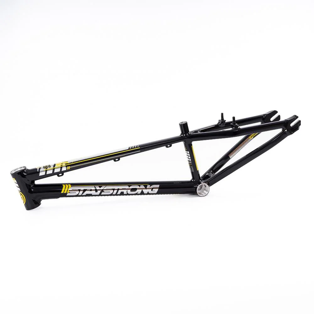 Stay Strong For Life 2023 V4 Cruiser Expert XL Race Frame - Image 16