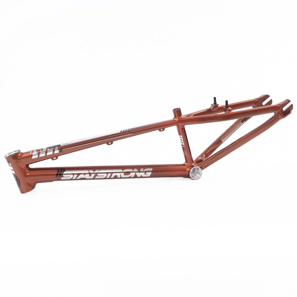 Stay Strong For Life 2023 V4 Cruiser Expert XL Race Frame - Image 9