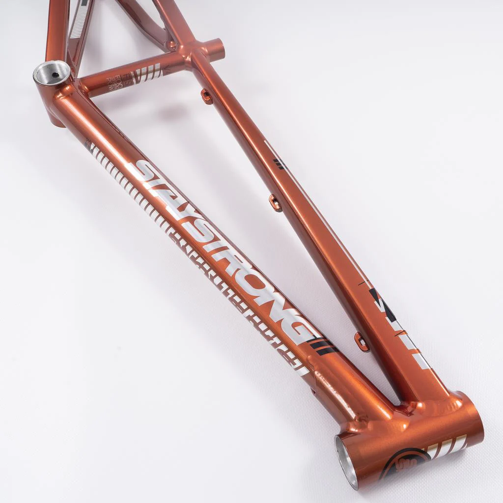 Stay Strong For Life 2023 V4 Cruiser Expert XL Race Frame - Disc Version - Image 13