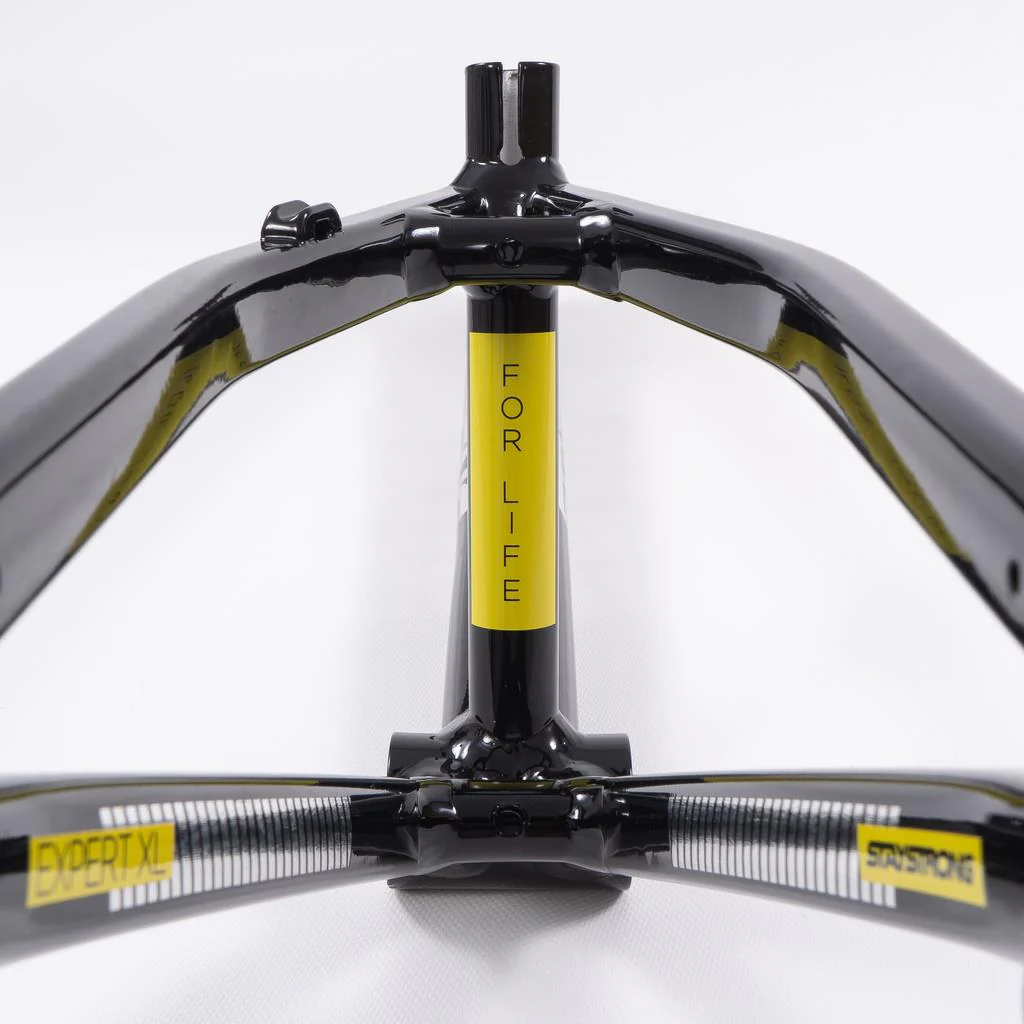 Stay Strong For Life 2023 V4 Cruiser Expert XL Race Frame - Disc Version - Image 5