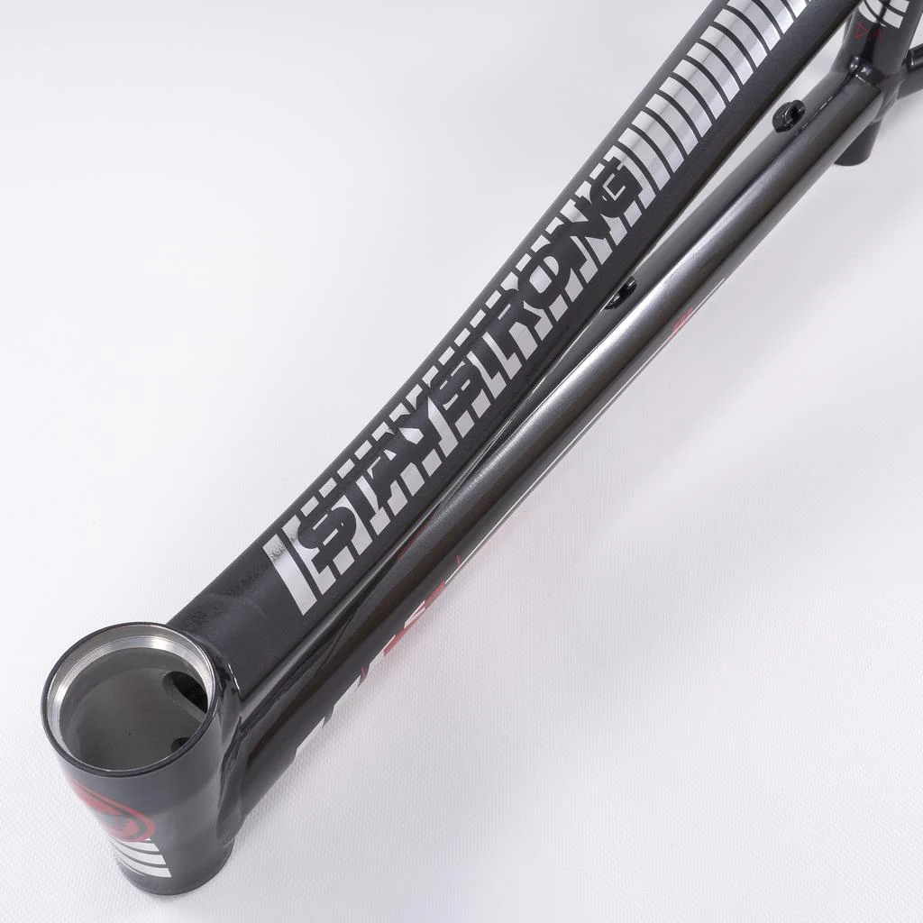 Stay Strong For Life 2023 V4 Cruiser Race Frame - Disc Version - Image 27