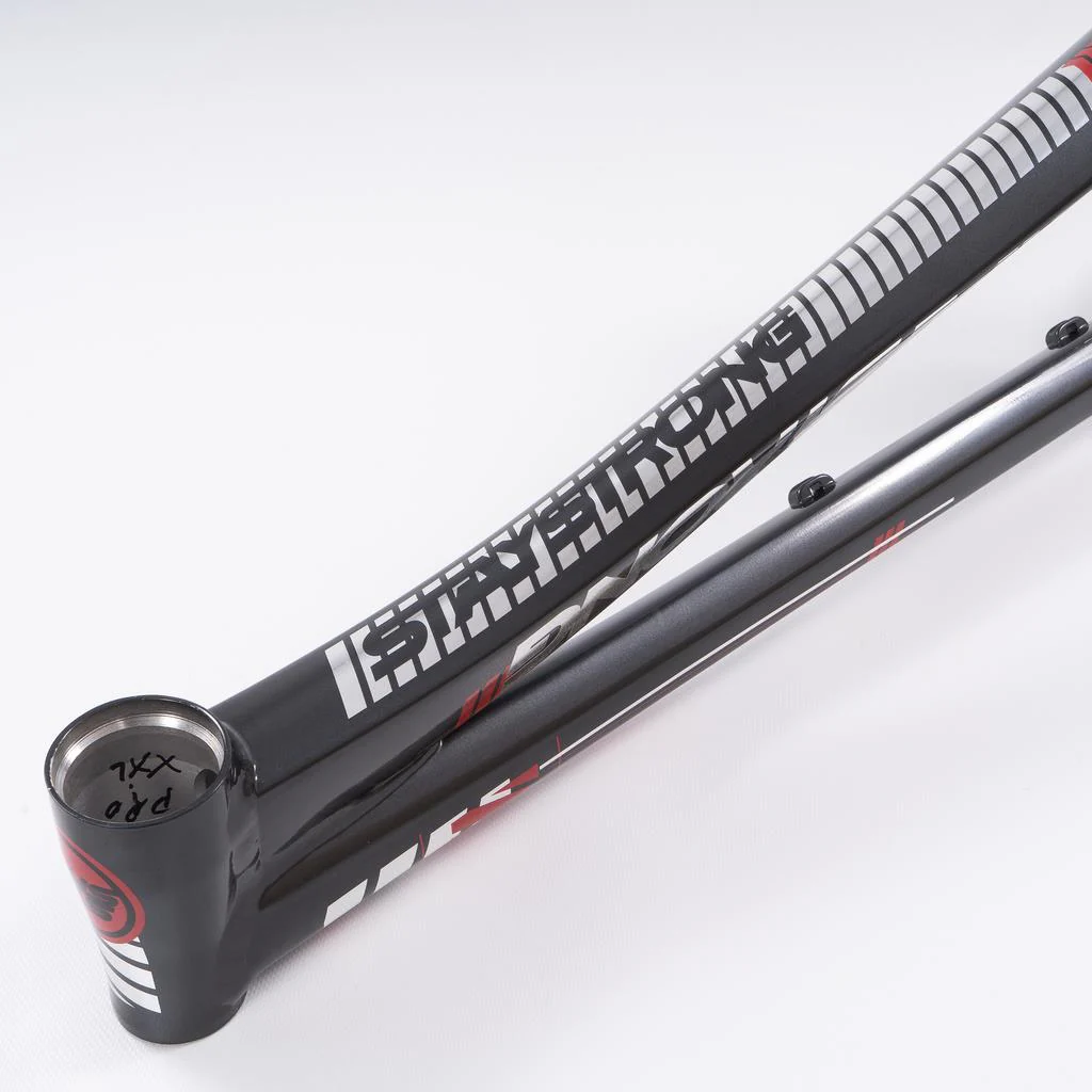 Stay Strong For Life 2023 V4 Cruiser XXL Race Frame - Image 15