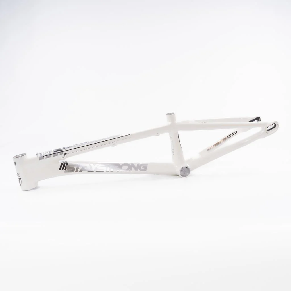 Stay Strong For Life 2023 V4 Cruiser XXL Race Frame - Disc Version - Image 15