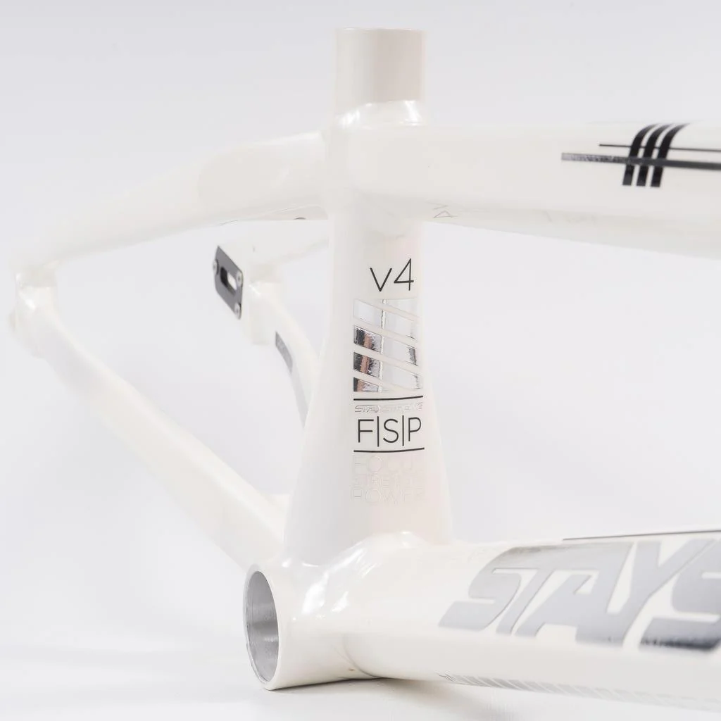 Stay Strong For Life 2023 V4 Cruiser XXL Race Frame - Disc Version - Image 17