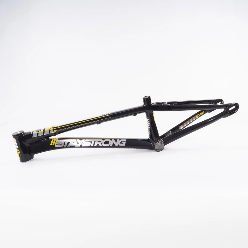 Stay Strong For Life 2023 V4 Cruiser XXL Race Frame - Disc Version - Image 8
