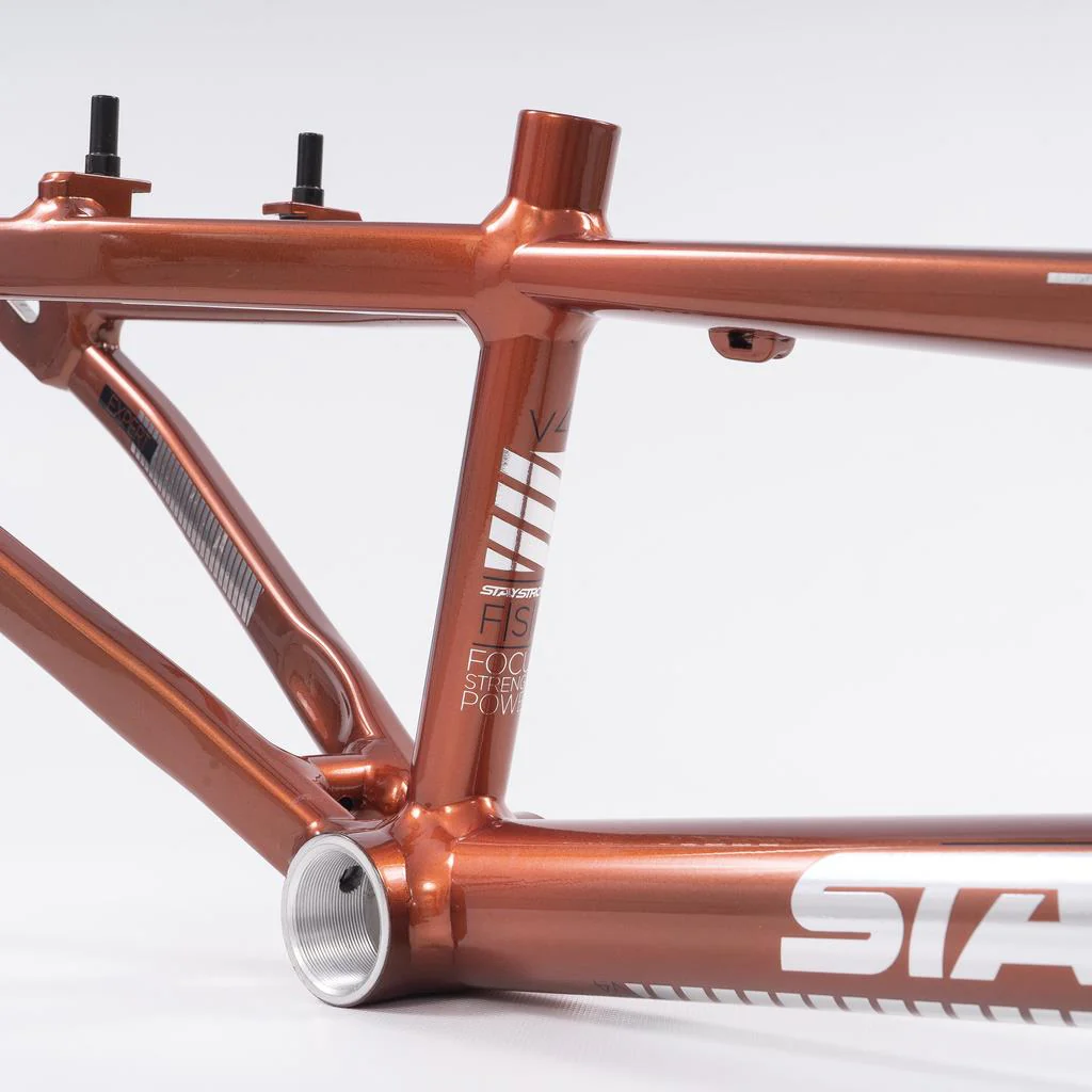 Stay Strong For Life 2023 V4 Expert Race Frame - Image 3