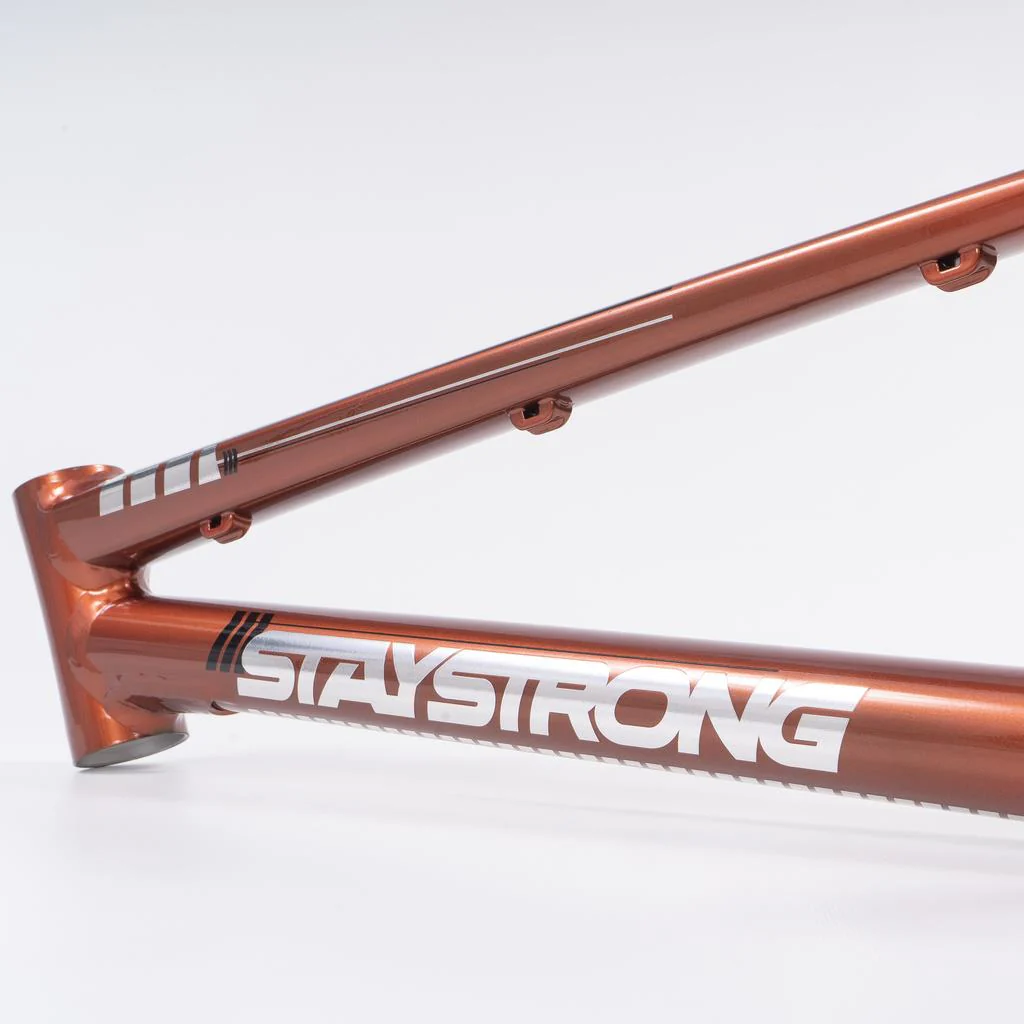 Stay Strong For Life 2023 V4 Expert Race Frame - Image 7