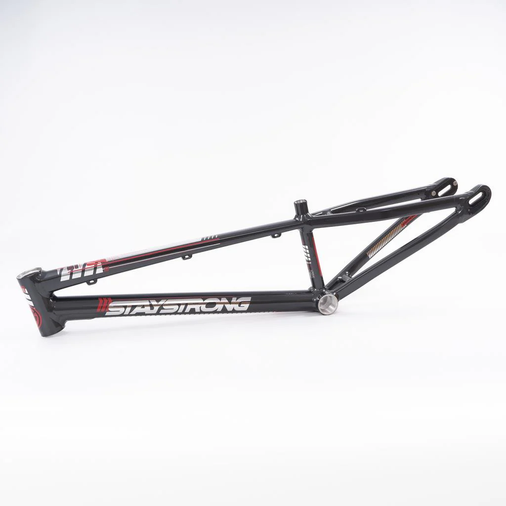Stay Strong For Life 2023 V4 Expert Race Frame - Disc Version - Image 21