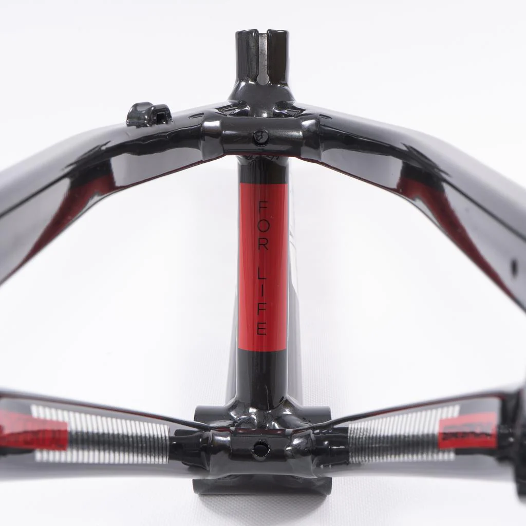 Stay Strong For Life 2023 V4 Expert Race Frame - Disc Version - Image 24