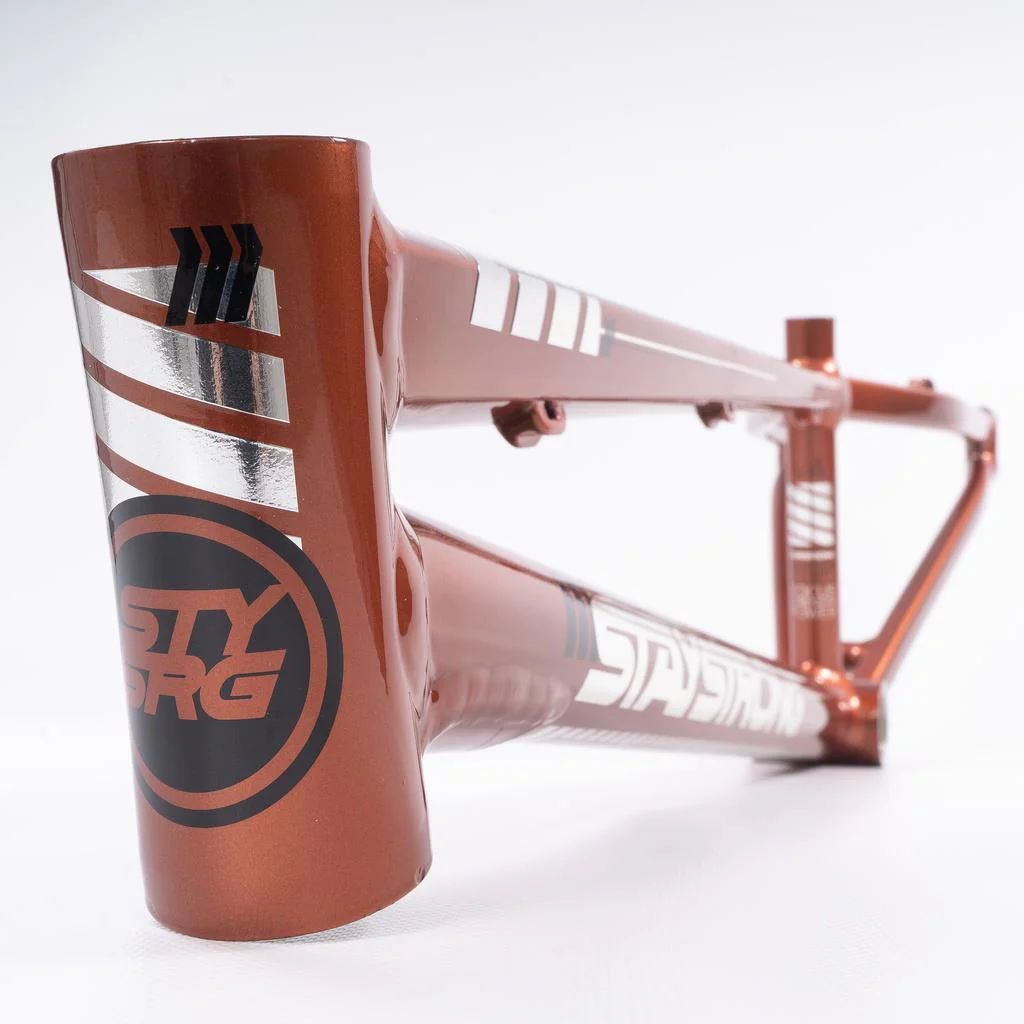 Stay Strong For Life 2023 V4 Expert Race Frame - Disc Version - Image 9