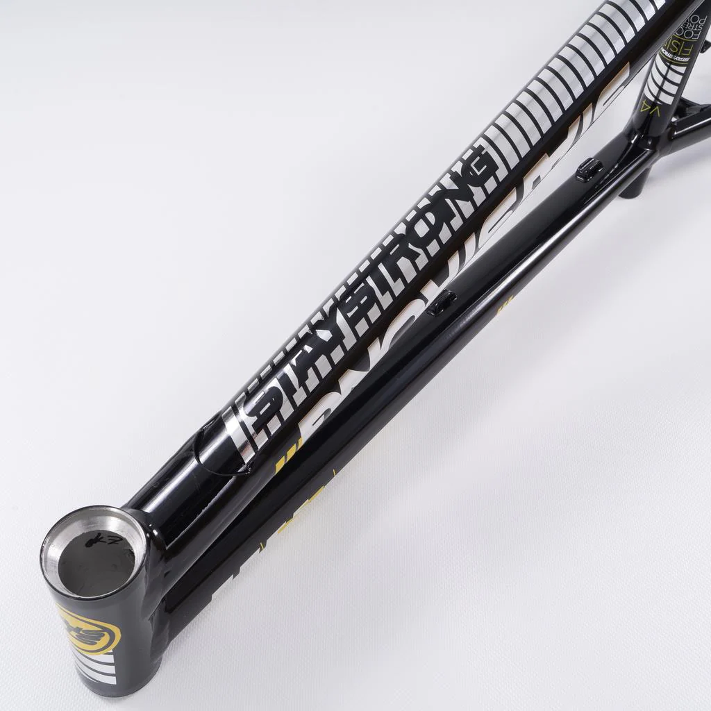 Stay Strong For Life 2023 V4 Expert XL Race Frame - Image 22