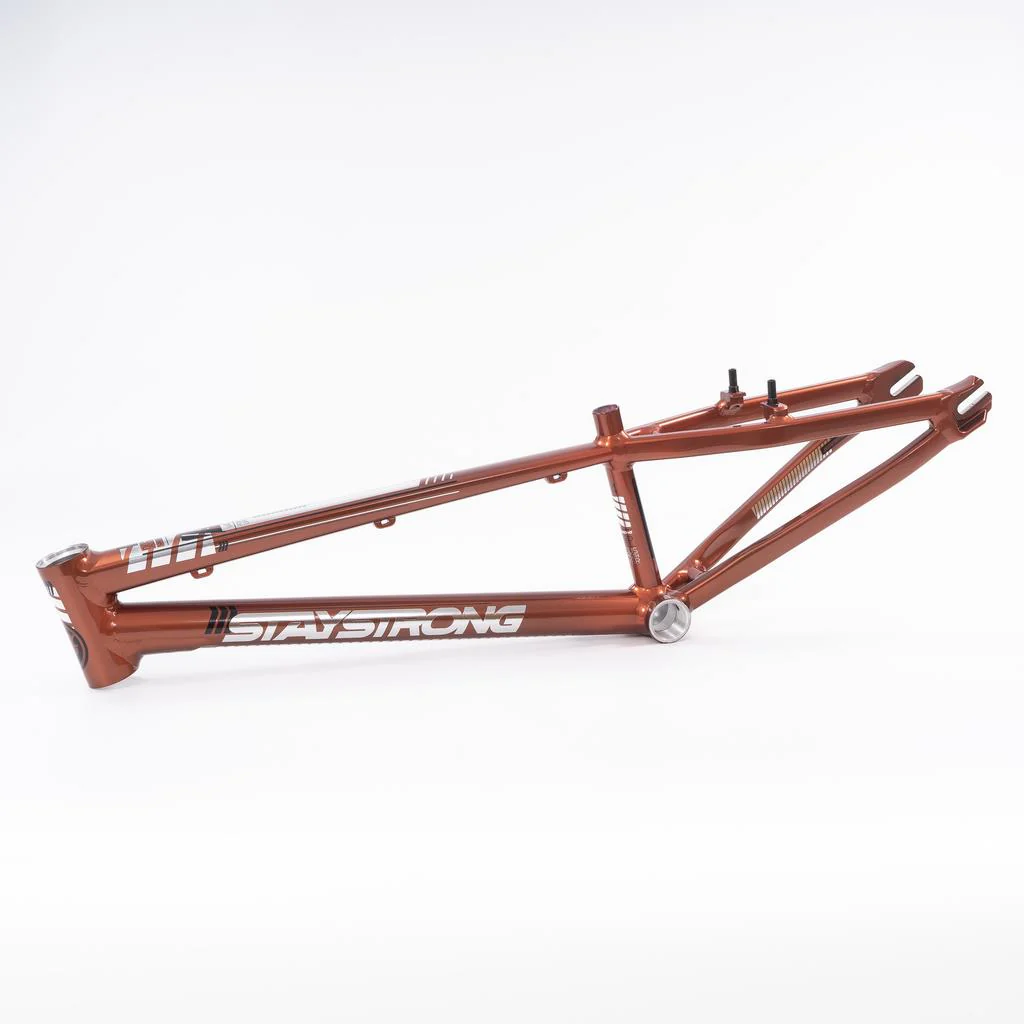 Stay Strong For Life 2023 V4 Expert XL Race Frame - Image 24