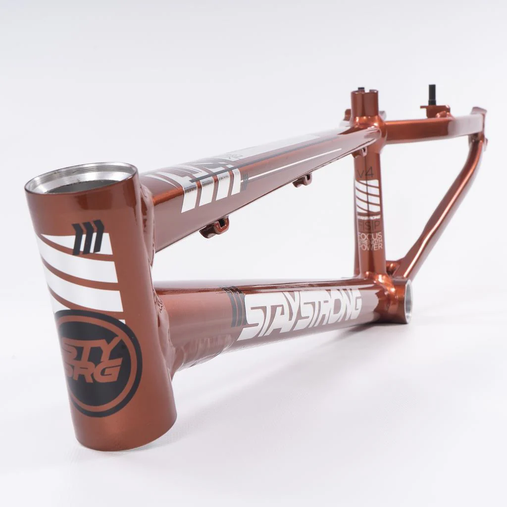 Stay Strong For Life 2023 V4 Expert XL Race Frame - Image 25