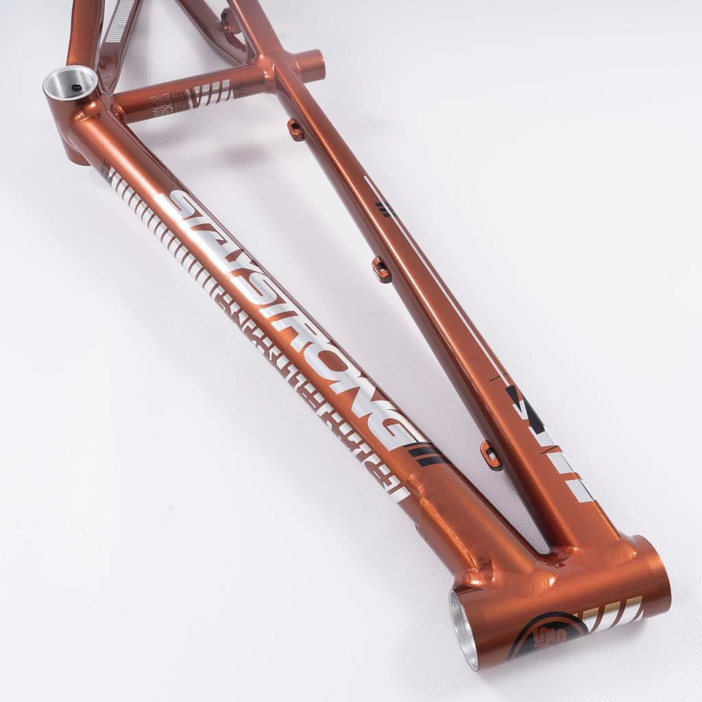 Stay Strong For Life 2023 V4 Expert XL Race Frame - Image 29