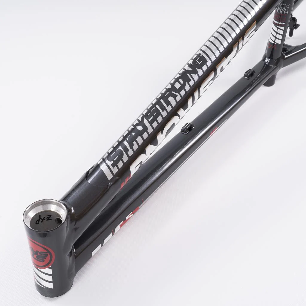 Stay Strong For Life 2023 V4 Expert XL Race Frame - Image 8