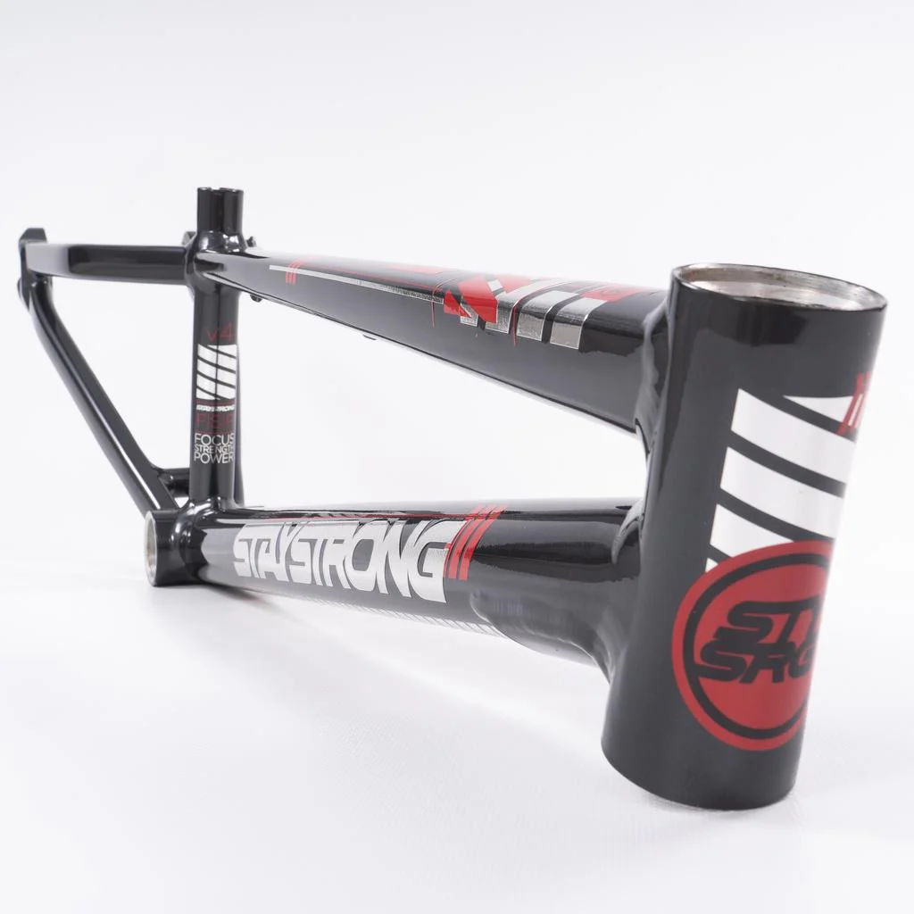 Stay Strong For Life 2023 V4 Expert XL Race Frame - Disc Version - Image 10
