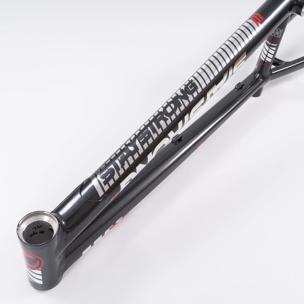 Stay Strong For Life 2023 V4 Expert XL Race Frame - Disc Version - Image 13