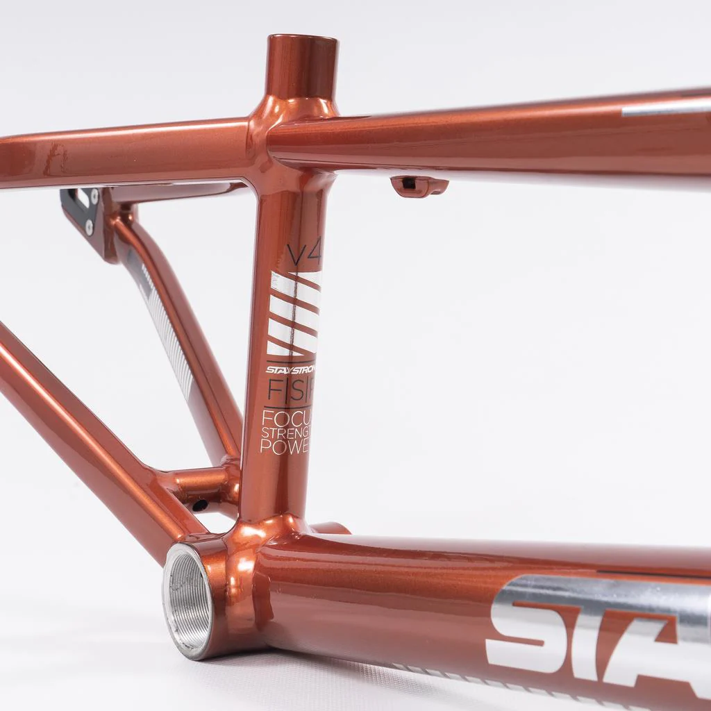 Stay Strong For Life 2023 V4 Expert XL Race Frame - Disc Version - Image 23