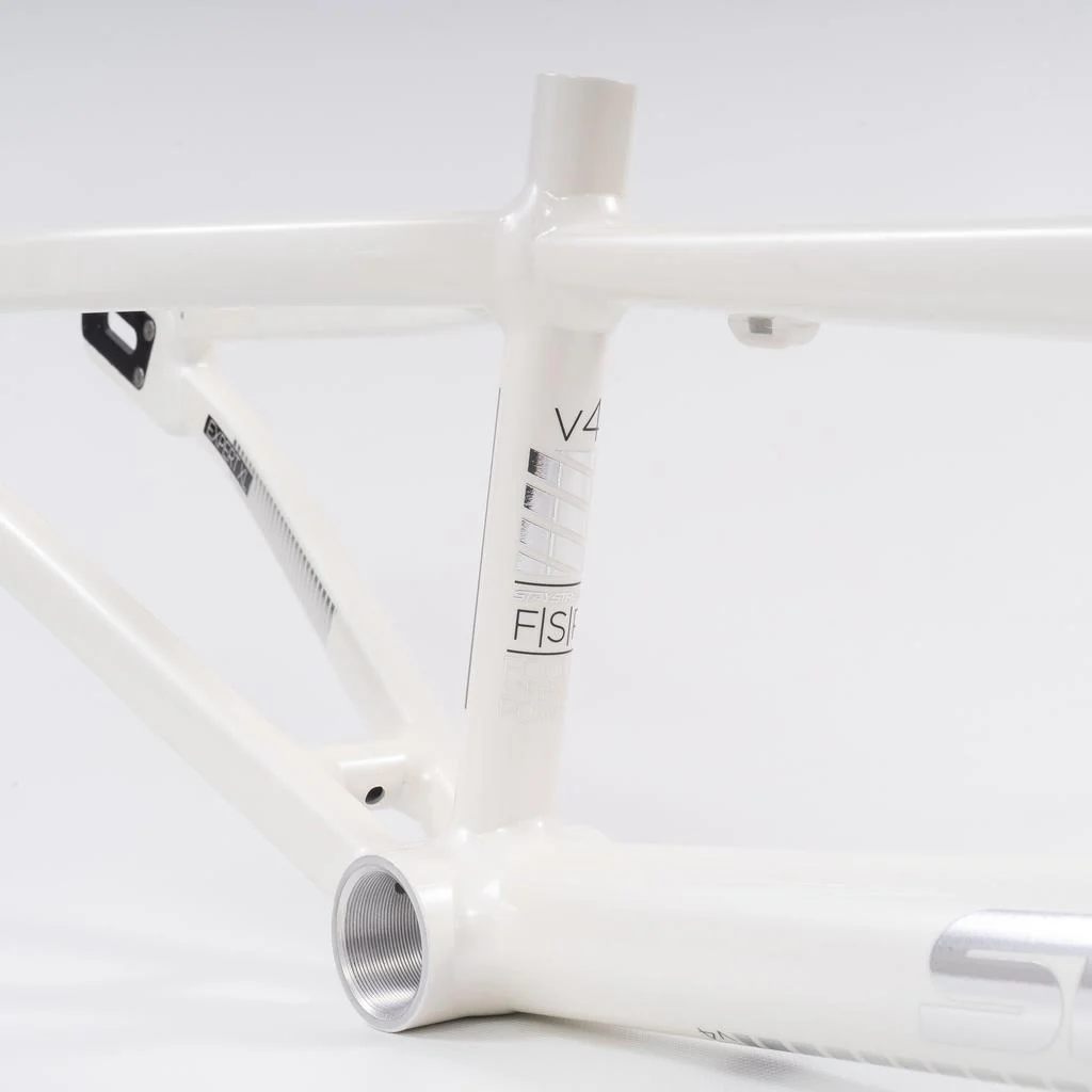 Stay Strong For Life 2023 V4 Expert XL Race Frame - Disc Version - Image 3