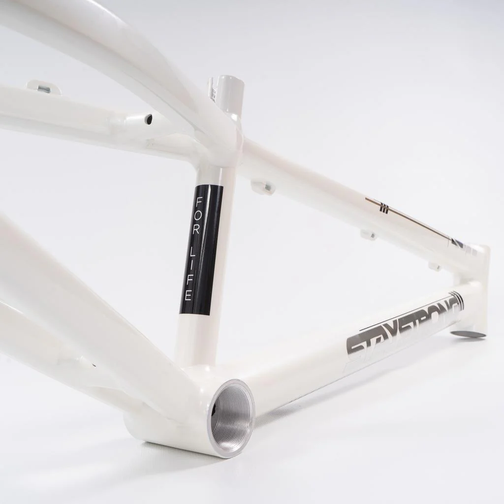 Stay Strong For Life 2023 V4 Expert XL Race Frame - Disc Version - Image 4
