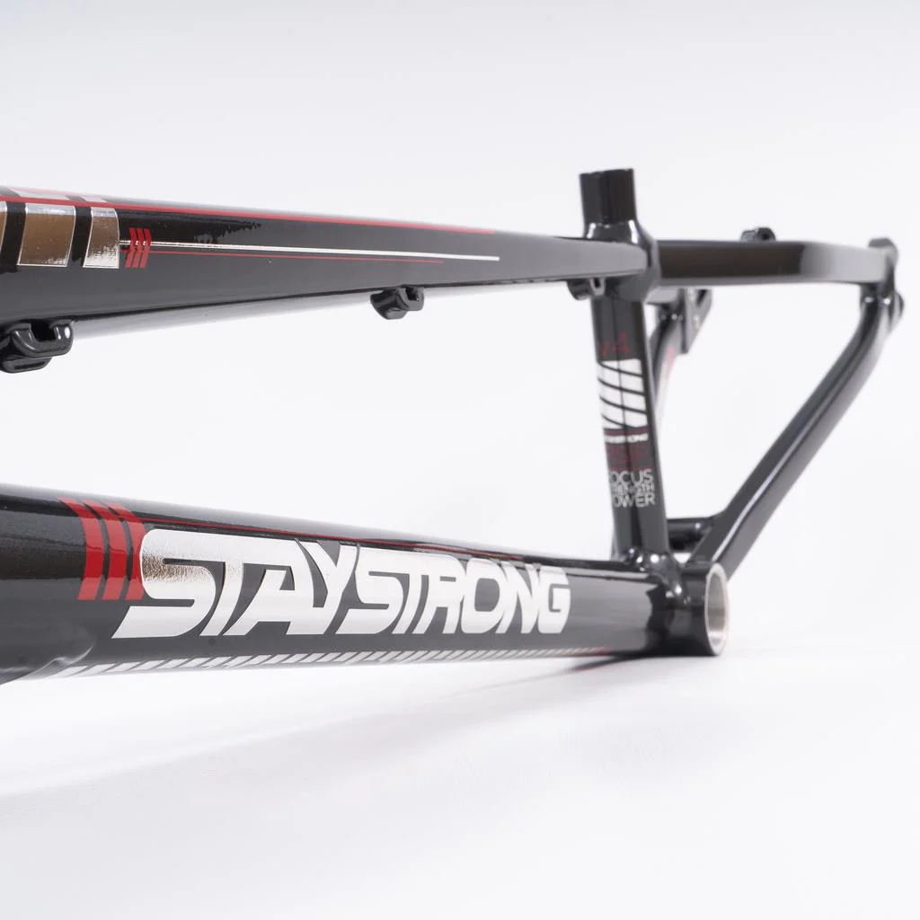 Stay Strong For Life 2023 V4 Expert XL Race Frame - Disc Version - Image 9