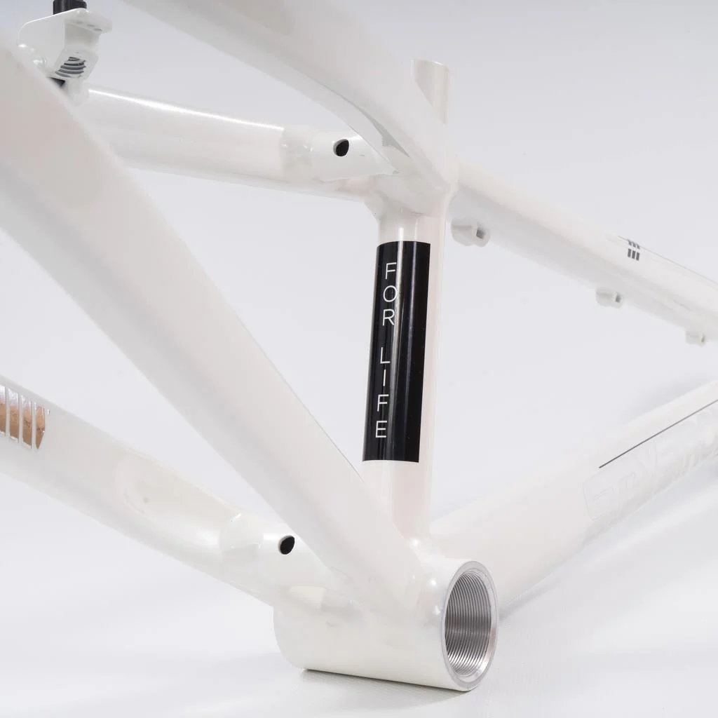 Stay Strong For Life 2023 V4 Junior Race Frame - Image 12