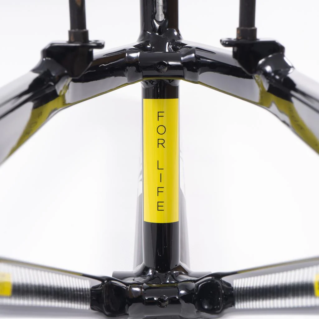Stay Strong For Life 2023 V4 Junior Race Frame - Image 23