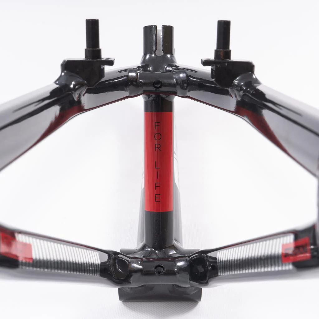 Stay Strong For Life 2023 V4 Junior Race Frame - Image 5