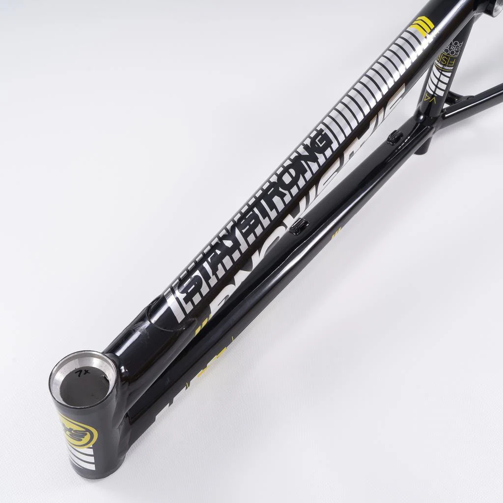 Stay Strong For Life 2023 V4 Junior Race Frame - Disc Version - Image 11