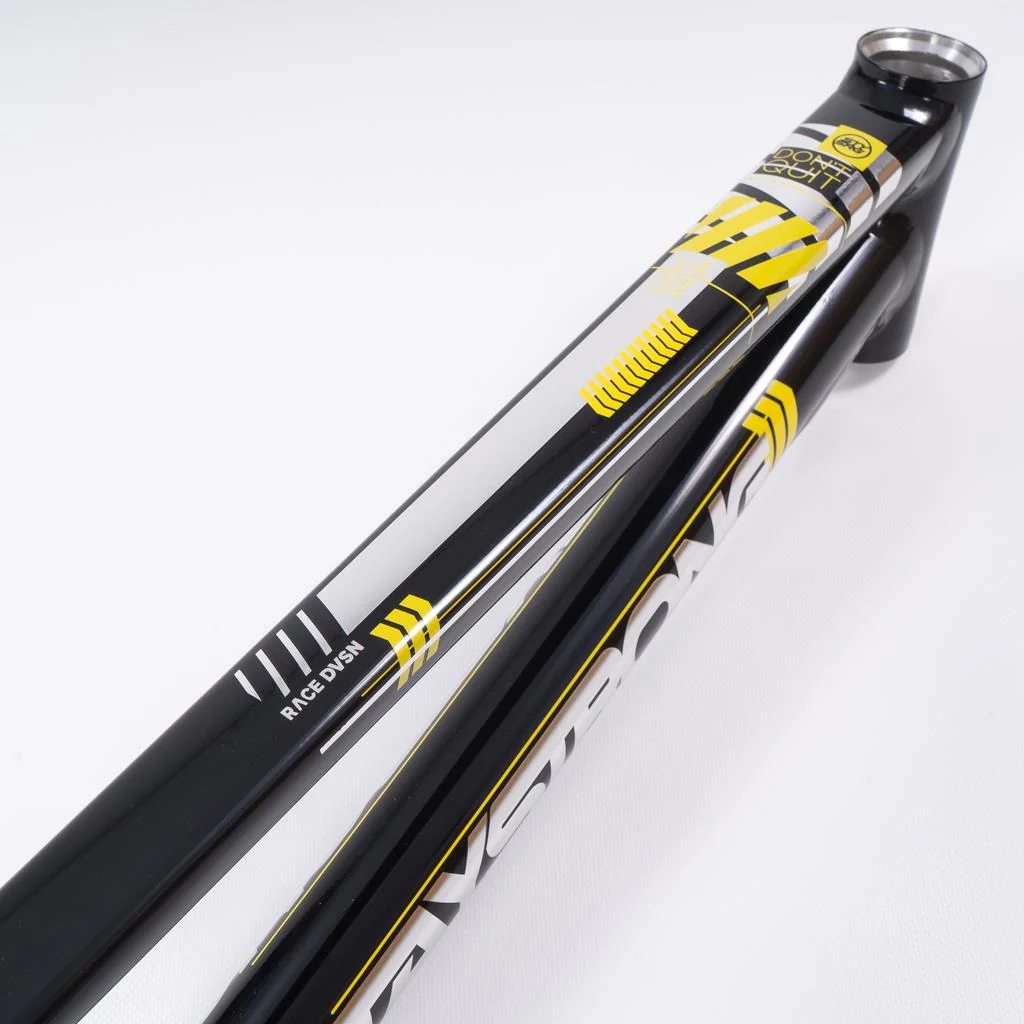 Stay Strong For Life 2023 V4 Mini Race Frame - Image 22