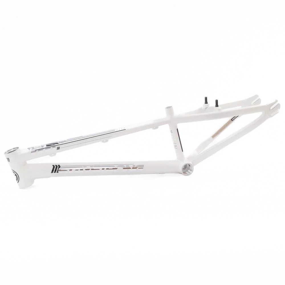 Stay Strong For Life 2023 V4 Mini Race Frame - Image 4
