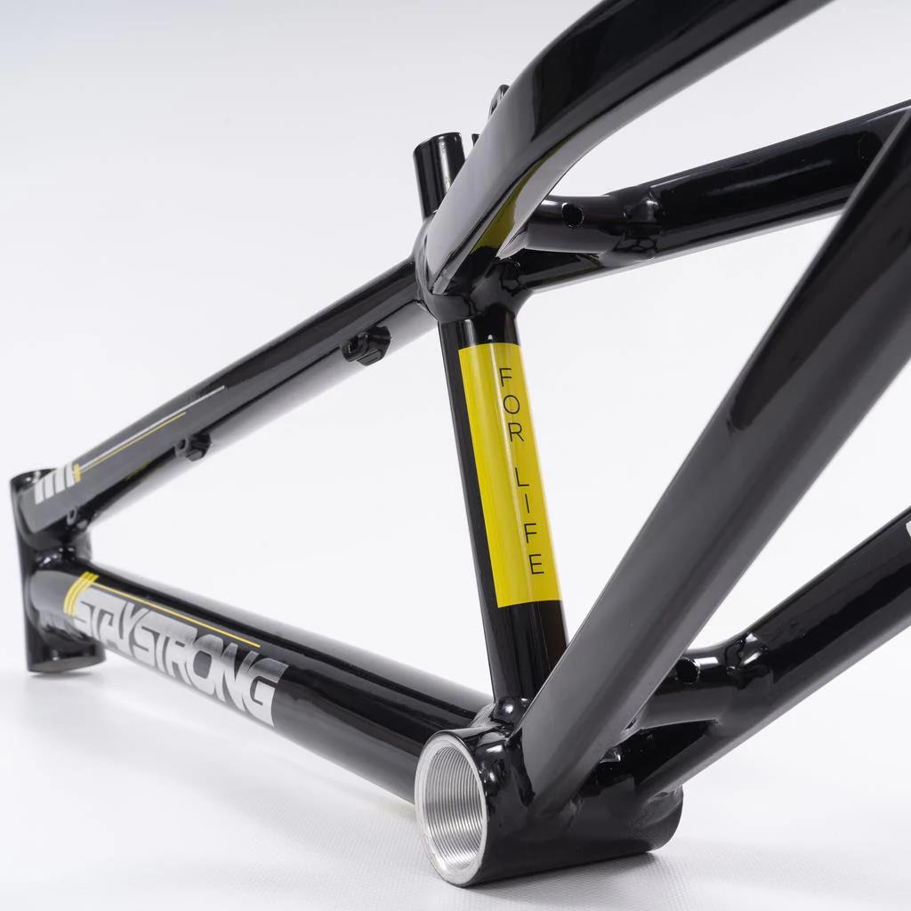 Stay Strong For Life 2023 V4 Mini Race Frame - Disc Version - Image 13