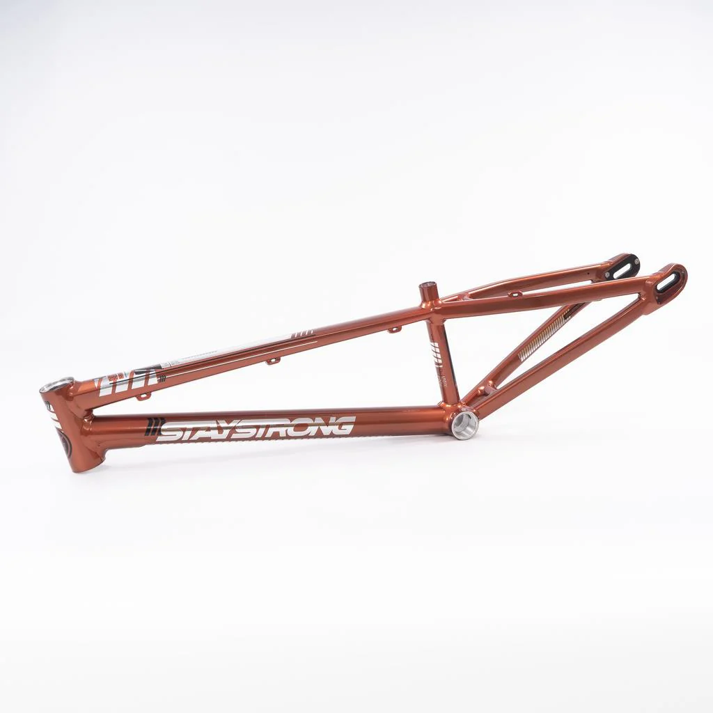 Stay Strong For Life 2023 V4 Mini Race Frame - Disc Version - Image 15