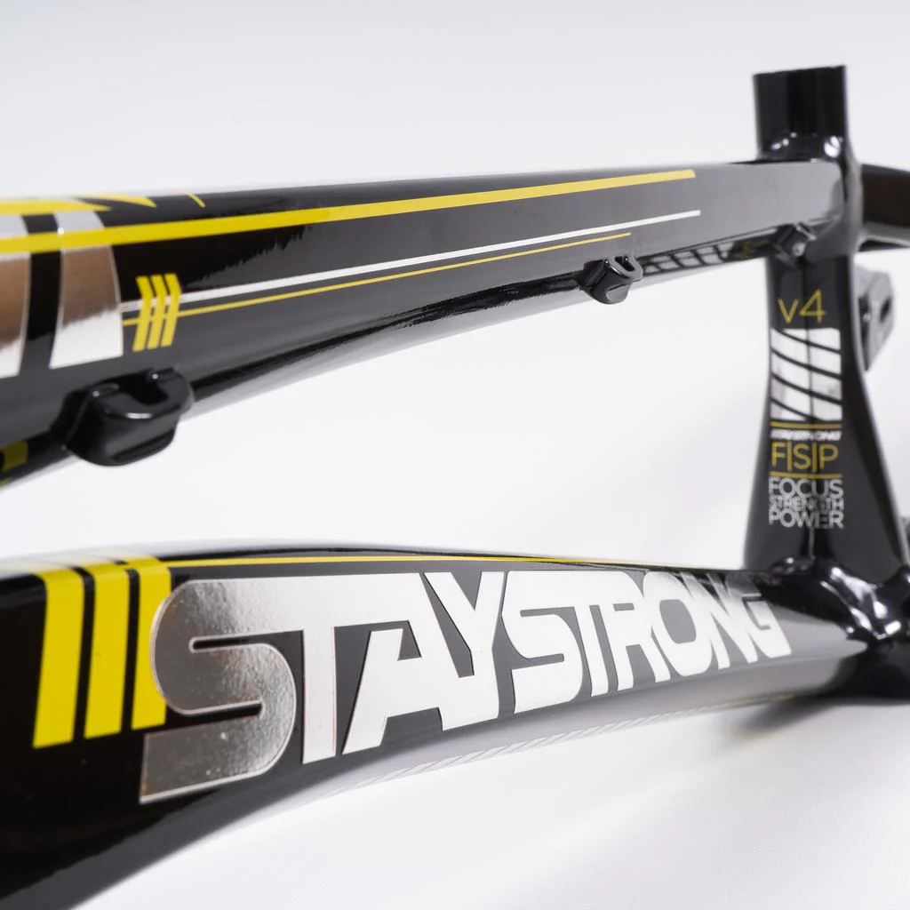Stay Strong For Life 2023 V4 Pro Race Frame - Image 19