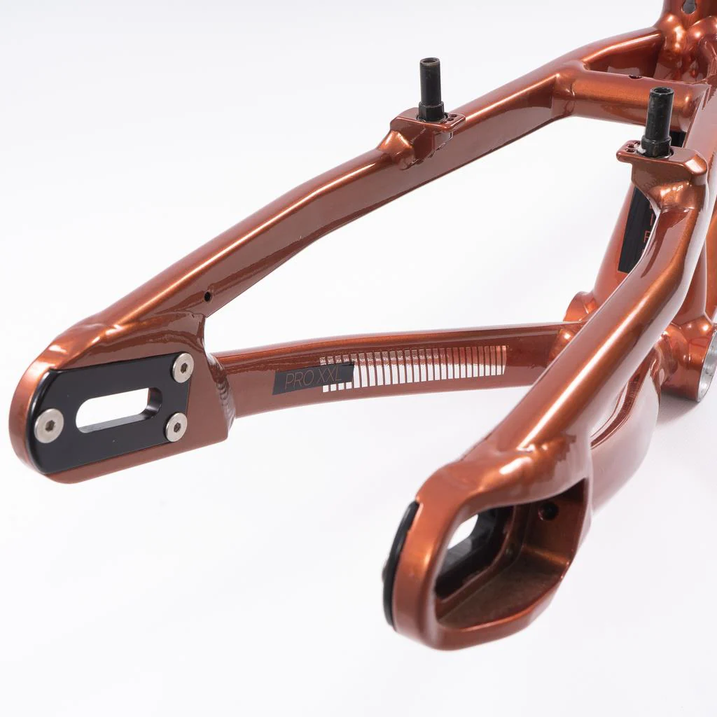Stay Strong For Life 2023 V4 Pro Race Frame - Image 27