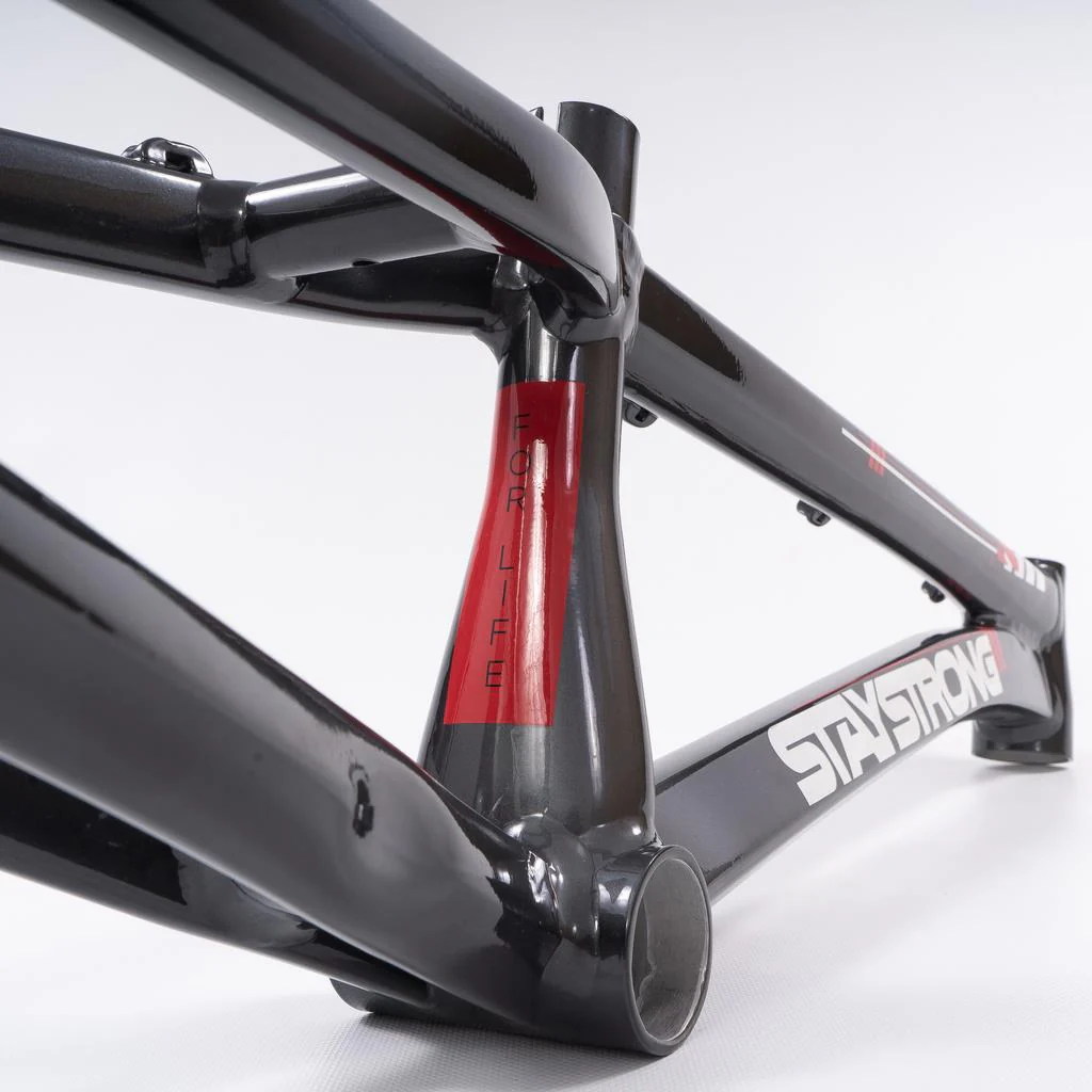 Stay Strong For Life 2023 V4 Pro Race Frame - Disc Version - Image 28