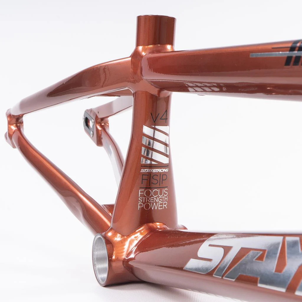 Stay Strong For Life 2023 V4 Pro Race Frame - Disc Version - Image 3