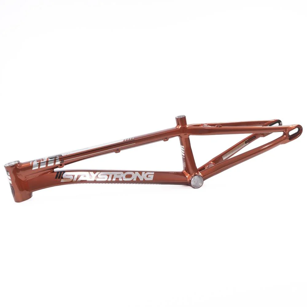 Stay Strong For Life 2023 V4 Pro XL Race Frame - Disc Version - Image 2