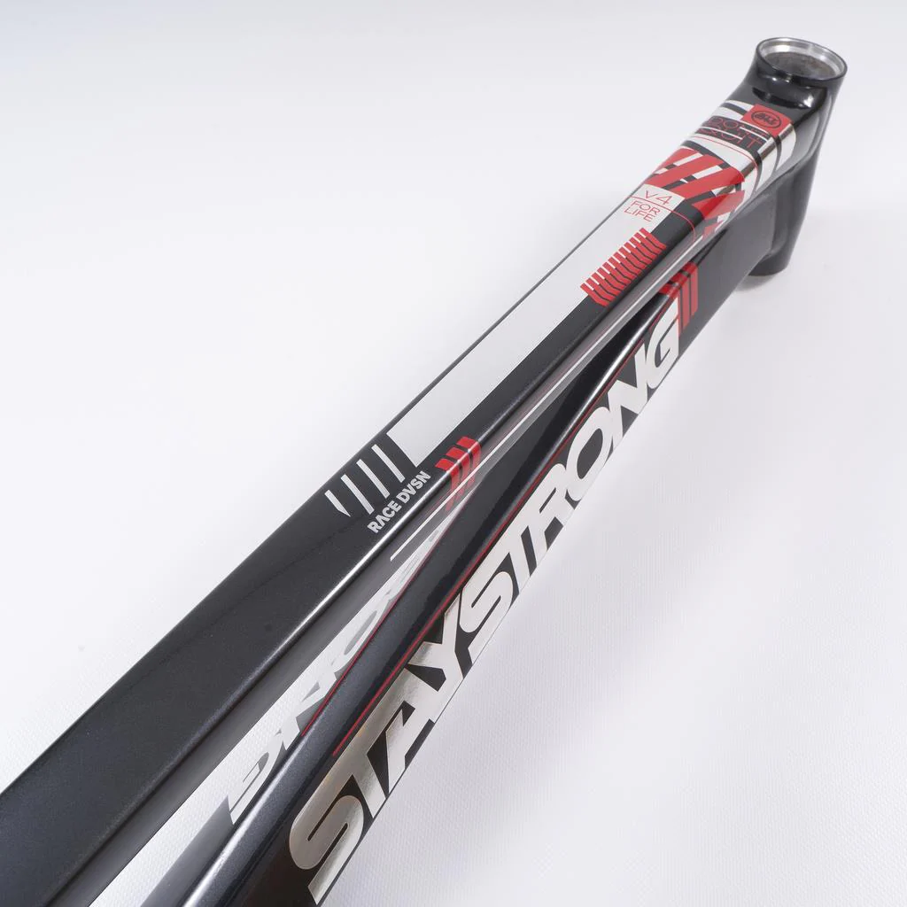 Stay Strong For Life 2023 V4 Pro XXXL Race Frame - Disc Version - Image 26