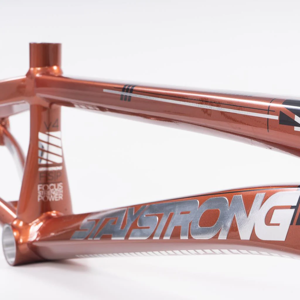 Stay Strong For Life 2023 V4 Pro XXXL Race Frame - Disc Version - Image 6