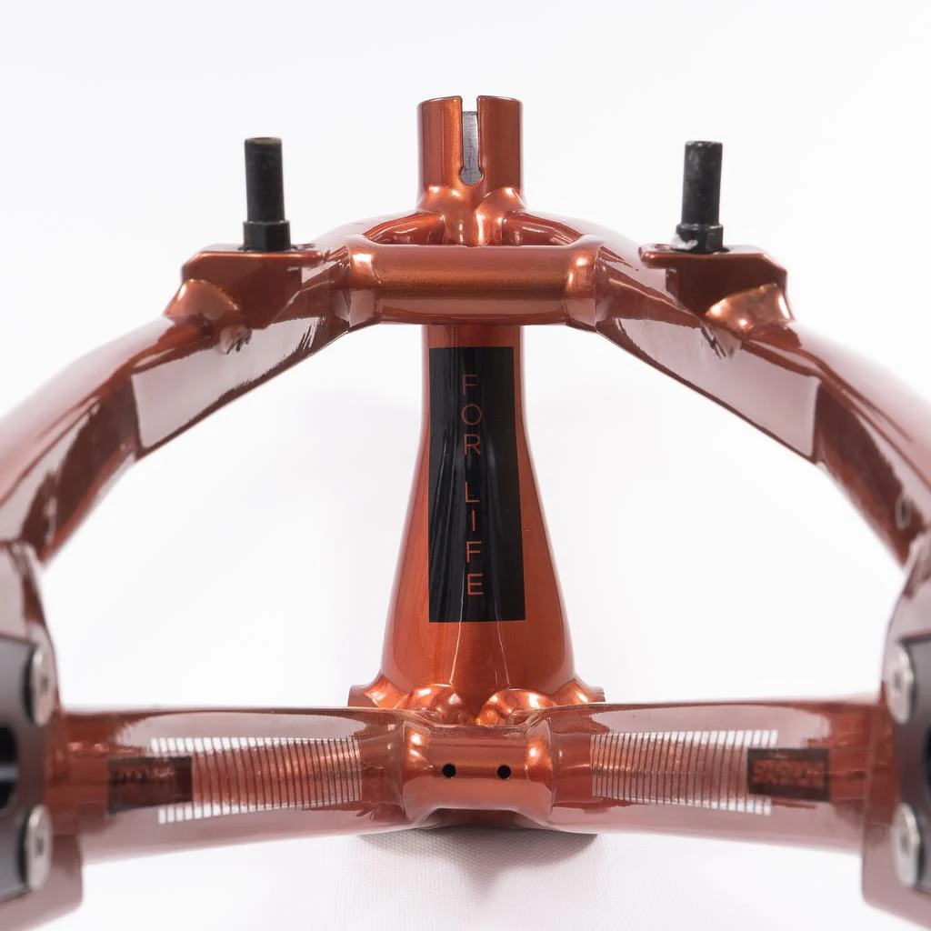 Stay Strong For Life 2023 V4 Pro XXXXL Race Frame - Image 20