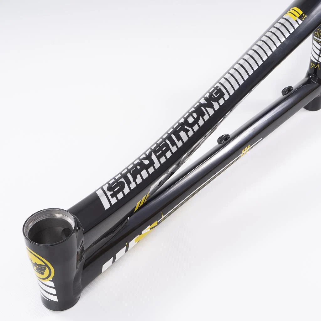 Stay Strong For Life 2023 V4 Pro XXXXL Race Frame - Disc Version - Image 13