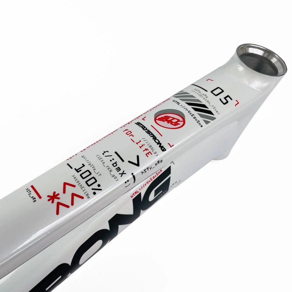 Stay Strong For Life 2024 V5 Cruiser Expert XL Race Frame - Image 6