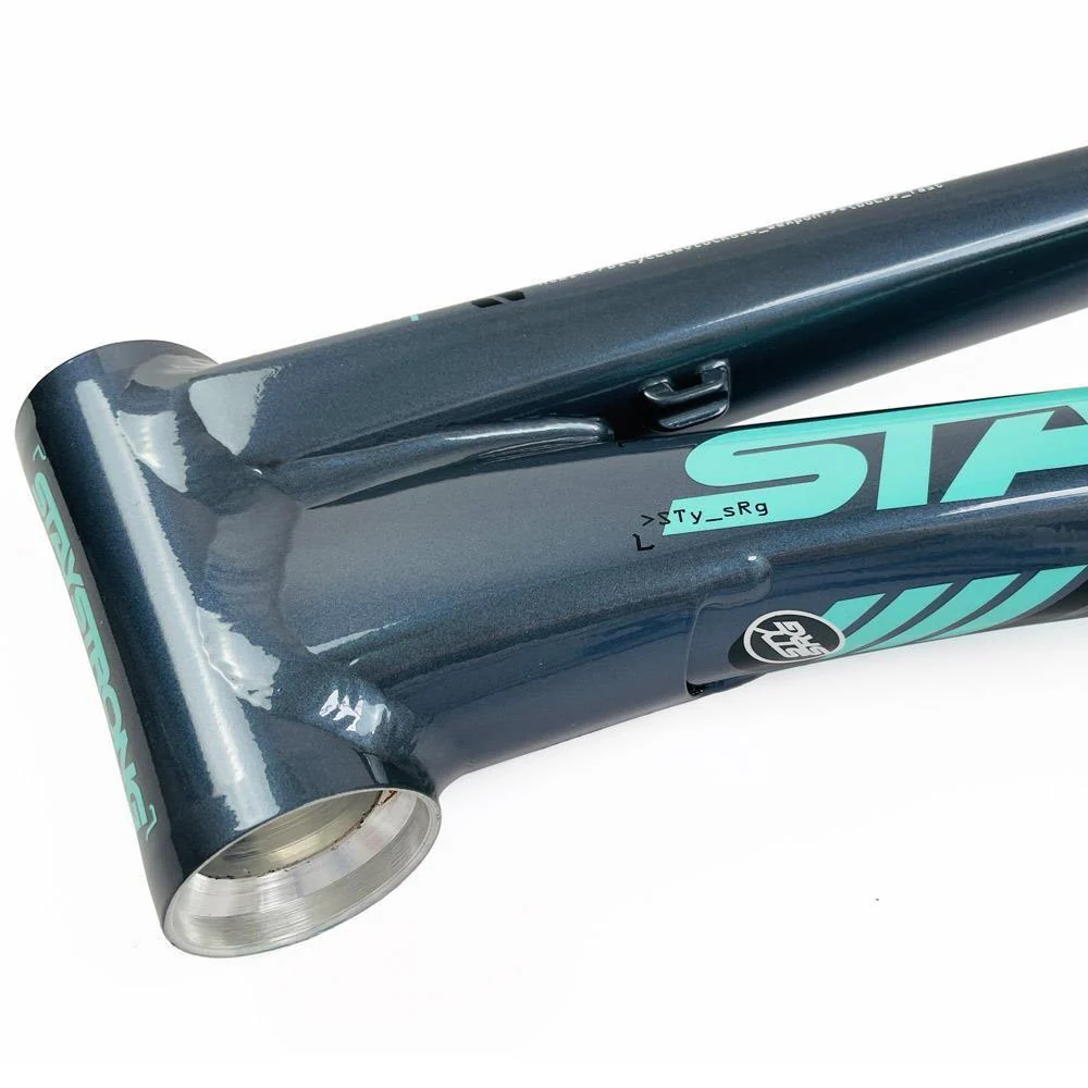 Stay Strong For Life 2024 V5 Cruiser Expert XL Race Frame - Disc Version - Image 16